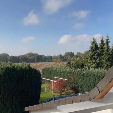 In Upper Floor In Nature Reserve. *