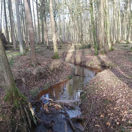 In Upper Floor In Nature Reserve. Apartmán Hipstedt