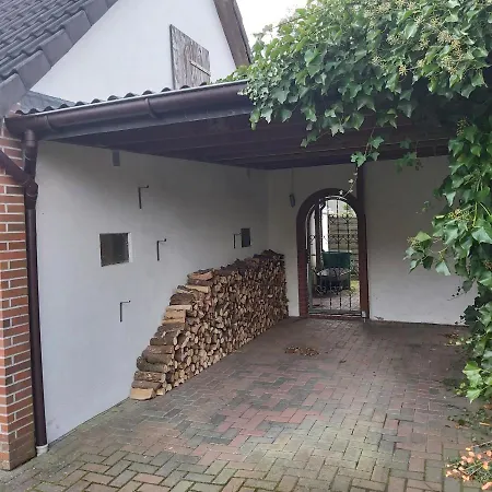 In Upper Floor In Nature Reserve. Hipstedt