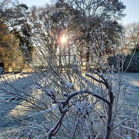 In Upper Floor In Nature Reserve. Apartmán *
