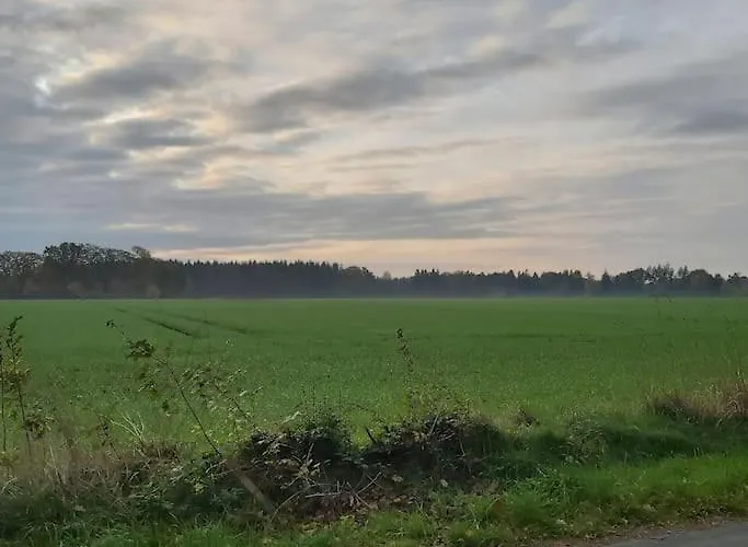 In Upper Floor In Nature Reserve. Appartement Hipstedt