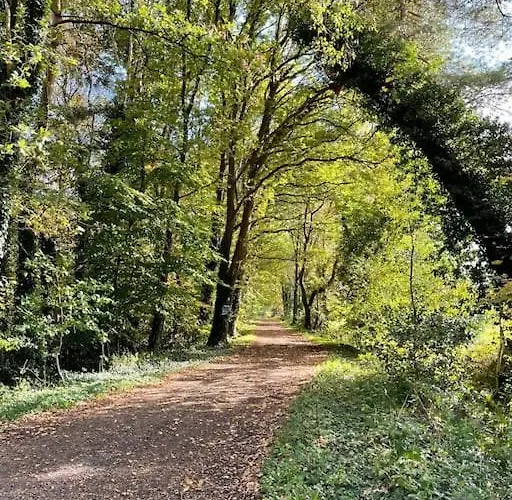 Appartement In Upper Floor In Nature Reserve.