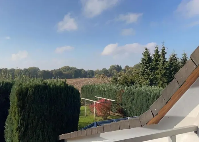 In Upper Floor In Nature Reserve. *