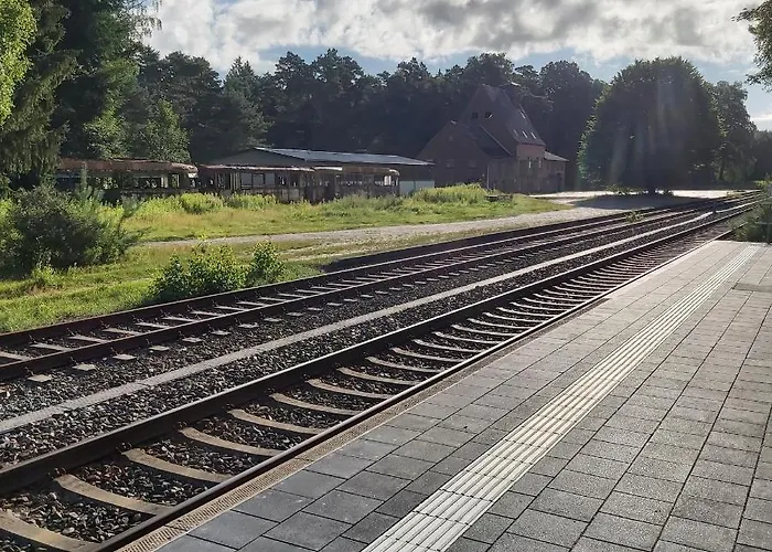 In Upper Floor In Nature Reserve. Appartement Hipstedt