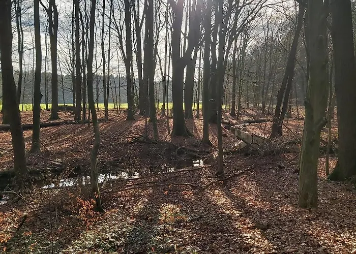 In Upper Floor In Nature Reserve.